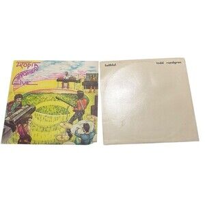Todd Rundgren Lot Of 2 Records Vintage Tested See Description